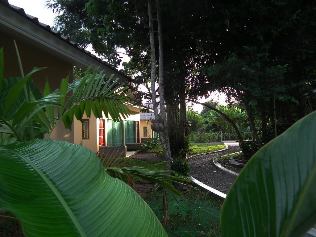 Villa De Mama Rawai المظهر الخارجي الصورة