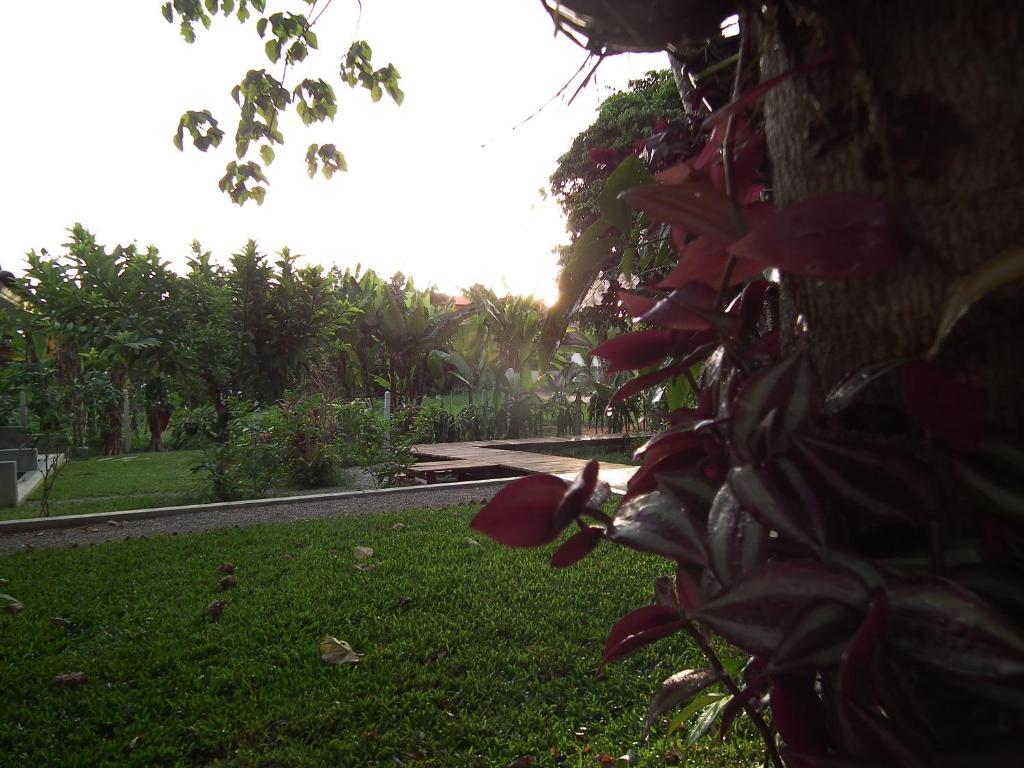 Villa De Mama Rawai المظهر الخارجي الصورة