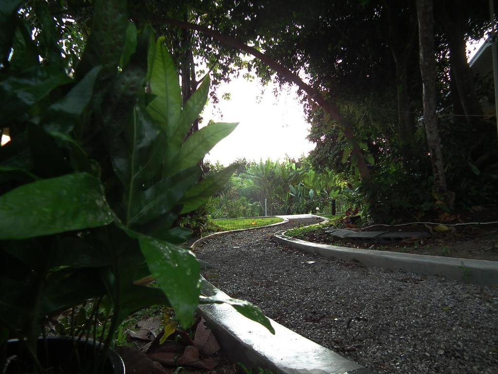 Villa De Mama Rawai المظهر الخارجي الصورة